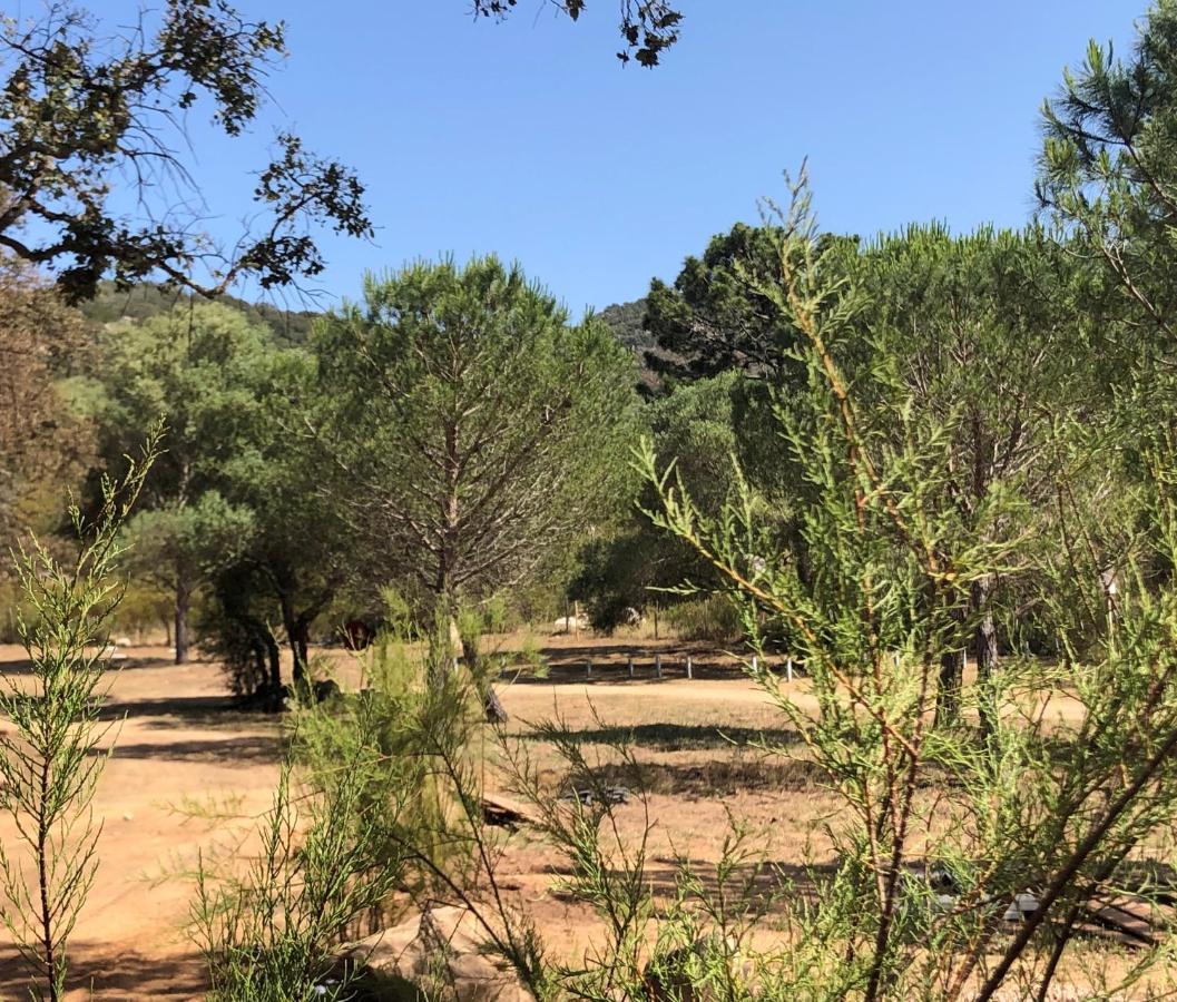 PETRA LEGNA - Résidence les jardins du golfe Porto-Vecchio  Extérieur photo
