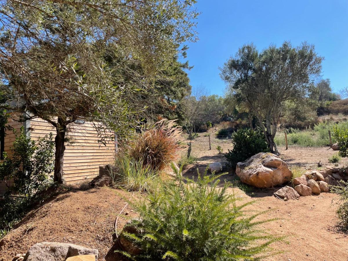 PETRA LEGNA - Résidence les jardins du golfe Porto-Vecchio  Extérieur photo