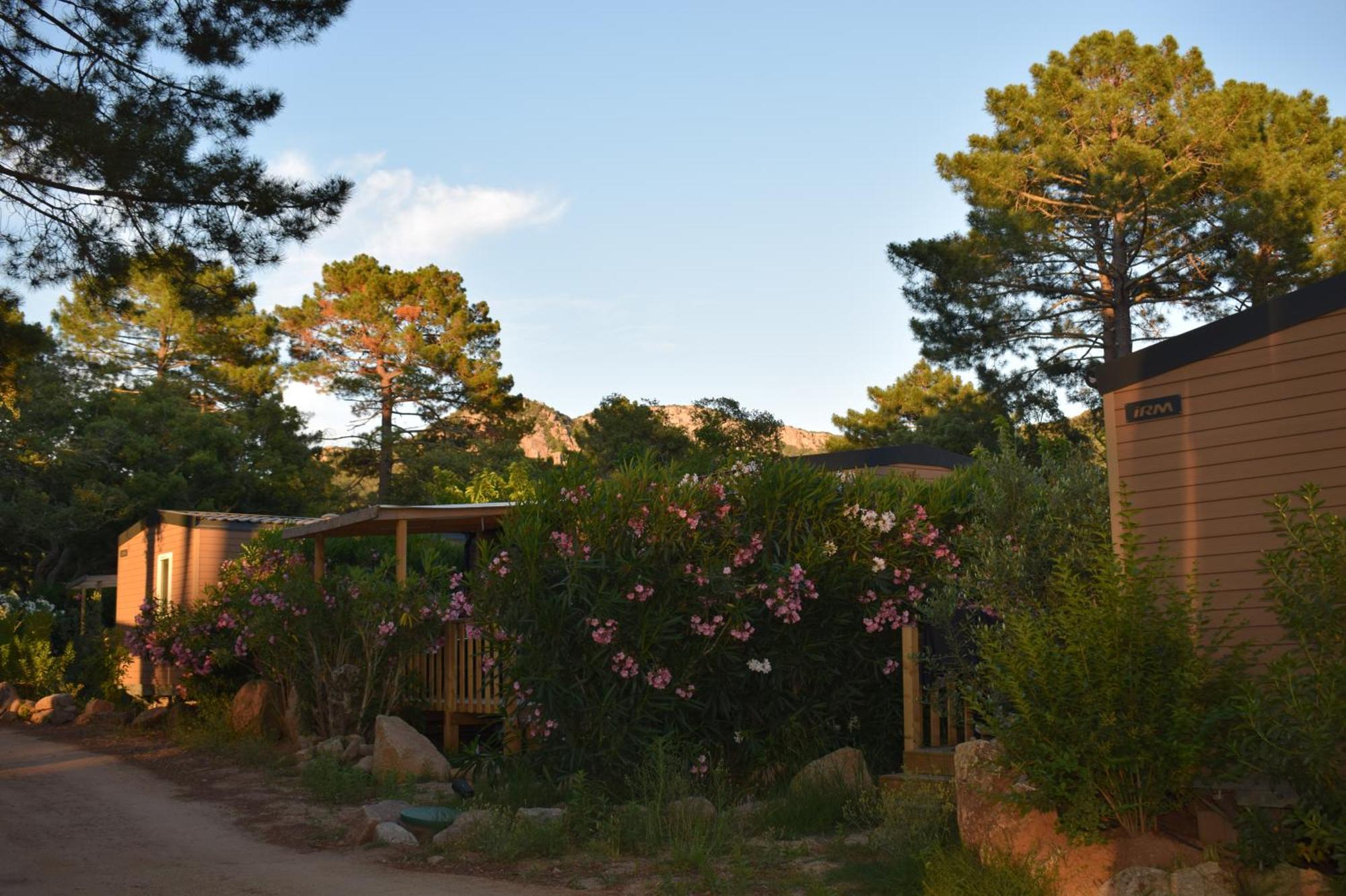 PETRA LEGNA - Résidence les jardins du golfe Porto-Vecchio  Extérieur photo