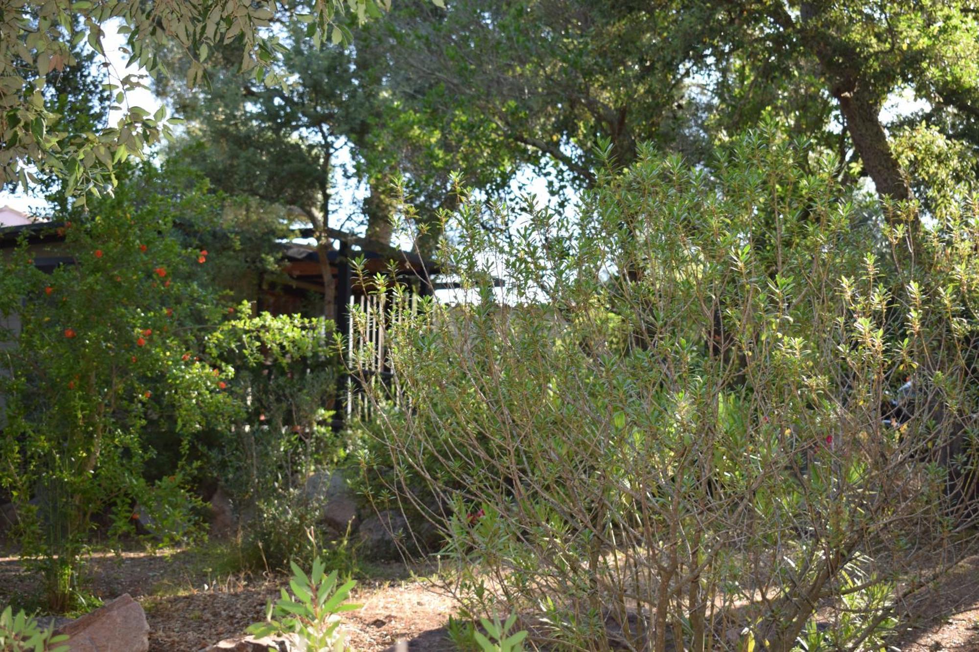 PETRA LEGNA - Résidence les jardins du golfe Porto-Vecchio  Extérieur photo