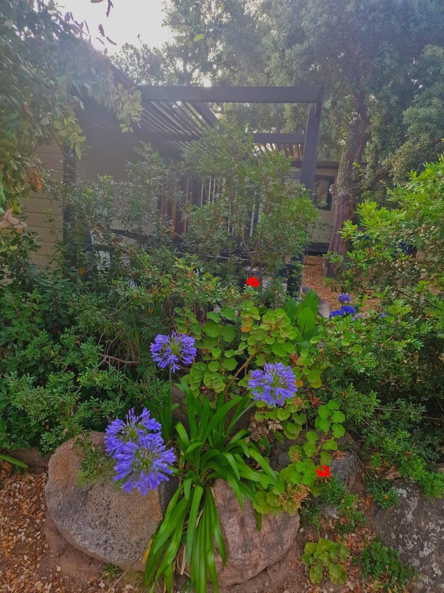 PETRA LEGNA - Résidence les jardins du golfe Porto-Vecchio  Extérieur photo